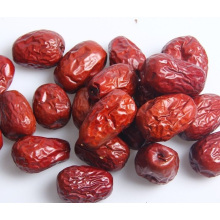 Poudre organique d&#39;extrait de Jujube de haute qualité de meilleurs prix, extrait de chinesedate